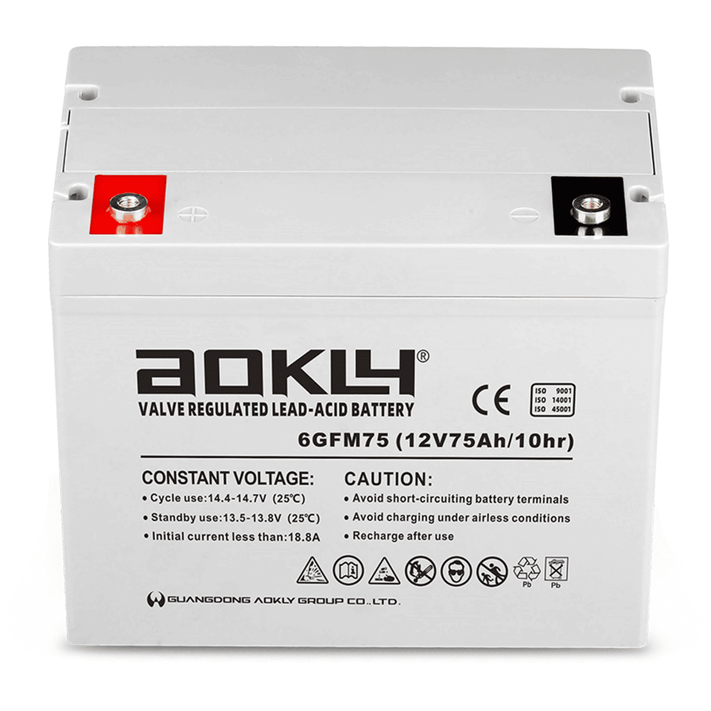 Aokly Agm Vrla Battery Batterie AGM. 6GFM100. 100Ah 12V. (330x172x214mm) -  VT BATTERIES